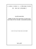 Nghiên cứu khả năng chắn sóng của rừng ngập mặn ở một số vùng ven biển   thành phố hải phòng 
