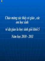 Giao luu hoc sinh gioi khoi 5 nam hoc 2010 2011