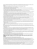 Câu hỏi ôn tập môn chính trị