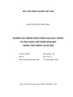 Nghiên cứu bệnh phấn trắng hại dưa chuột và ứng dụng chế phẩm sinh học phòng trừ bệnh tại hà nội   
