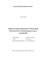 Nghiên cứu một số biện pháp kỹ thuật nhằm tăng năng suất cây hồng (diospyros kaki  l) tại điện biên   
