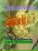 MOT THU QUA CUA LUA NON