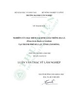 Nghiên cứu đặc điểm tái sinh loài Thông ba lá (Pinus keisya Royle ex Gordon) tại thành phố Đà Lạt, tỉnh Lâm Đồng