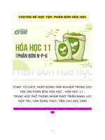 CHUYÊN đề học tập PHÂN bón hóa học