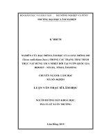 Nghiên cứu đặc điểm lâm học của loài Thông đỏ (Taxus wallichiana Zucc. ) trong các trạng thái thảm thực vật rừng ẩm á nhiệt đới tại Vườn quốc gia BiDoup – Núi Bà, tỉnh Lâm Đồng