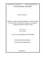 Nghiên cứu một số đặc điểm sinh học và sinh thái học của loài sâm lai châu (panax vietnamensis var  fuscidiscus) tại huyện mường tè, tỉnh lai châu 