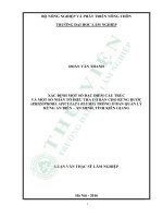 Xác định một số đặc điểm cấu trúc và một số nhân tố điều tra cơ bản cho rừng đước trồng ở ban quan lý rừng an biên   an minh 