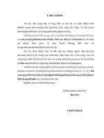 (Luận văn thạc sĩ file word) Nghiên cứu các biện pháp quản lý và nâng cao chất lượng đắp đập đất công trình thủy điên Thượng Kon Tum