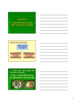 Bài giảng Đại cương văn hóa Việt Nam: Chương 5