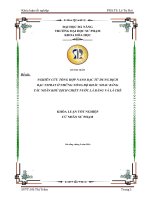 Nghiên cứu tổng hợp nano bạc từ dung dịch bạc nitrat ở những nồng độ khác nhau bằng tác nhân khử dịch chiết nước lá bàng và lá chè   