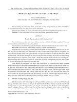 Phân tâm học Freud và văn hóa nghệ thuật