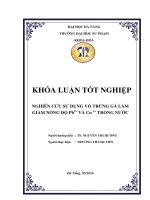 Nghiên cứu sử dụng vỏ trứng làm giảm nồng độ pb2+ và cu2+ trong nước  
