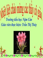 Giao an thi gv day gioi cap tinh