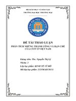 (Thảo luận Kinh tế vĩ mô) PHÂN TÍCH NHỮNG THÀNH CÔNG VÀ HẠN CHẾ CỦA Chính Sách Tiền Tệ Ở VIỆT NAM