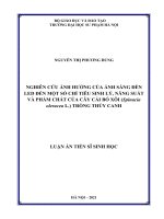 (Luận án tiến sĩ) nghiên cứu ảnh hưởng của ánh sáng đèn LED đến một số chỉ tiêu sinh lý, năng suất và phẩm chất của cây cải bó xôi trồng thủy canh 