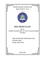 (Bài Thảo luận) TÌM HIỂU MÔ HÌNH CRM. LẤY VÍ DỤ VỀ DOANH NGHIỆP VINAMILK