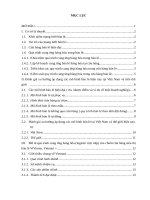 (Bài thảo luận) Hoạt động logistic của chuỗi của hàng siêu thi Vinmart, Vinmart +