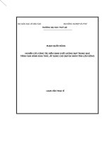 Nghiên cứu công tác kiểm định chất lượng đập trong quá trình vận hành khai thác, áp dụng cho đập Đa Nhim tỉnh Lâm Đồng (Luận văn thạc sĩ file word)