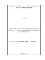Nghiên cứu đặc điểm phân bố và tình hình gây trồng cây Cóc hành (Azadirachta excelsa (Jack) Jacobs) ở tỉnh Ninh Thuận