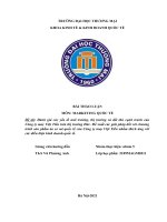 Đánh giá các yếu tố môi trường, thị trường và đối thủ cạnh tranh của Công ty may Việt Tiến trên thị trường Đức. Đề xuất các giải pháp đối với chương trình sản phẩm áo sơ mi quốc tế của Công ty may Việt Tiến nhằm thích ứng với các điều kiện kinh doanh quốc