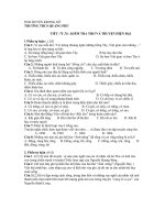 DE KIEM TRA THO VA TRUYEN HIEN DAI TIET 75 VA 76