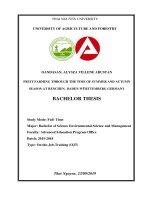 Fruit farming in summer and autumn season at ulm renchen baden württemberg germany 