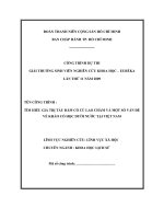 Tìm hiểu giá trị tàu đắm cổ cù lao chàm và một số vấn đề về khảo cổ học dưới nước tại việt nam    công trình dự thi giải thưởng sinh viên nghiên cứu khoa học euréka lần thứ 11 năm 2009  