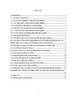 VẬN DỤNG PHƯƠNG PHÁP ĐỊNH GIÁ CỔ PHIẾU ĐỂ ĐỊNH GIÁ CỔ PHIẾU DRC CỦA CÔNG TY CỔ PHẦN CAO SU ĐÀ NẴNG