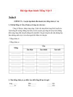 Bài tập thực hành Tiếng Việt 5 – Tuần 8