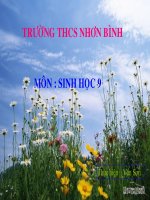 Dot bien NT trong chon giong