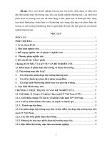 Nhận dạng và phân tích đặc điểm phân đoạn thị trường mục tiêu của công ty C.P Việt Nam. Lựa chọn 1 phân đoạn thị trường mục tiêu đã nhận dạng, phân tích và đánh giá thực trạng loại hình Marketing chiến lược và marketing mix trong đáp ứng với phân đoạn thị