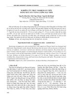 Nghiên cứu thực nghiệm sấy tiêu bằng máy sấy năng lượng mặt trời