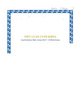 Công tác quản lý hoạt động của tổ chuyên môn trong trường THCS hòa lợi, phường hòa lợi, thị xã bến cát, tỉnh bình dương 