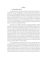 Xây dựng hệ thống bảo hộ quyền sở hữu trí tuệ ở việt nam phù hợp với hiệp định của WTO về các khía cạnh của quyền sở hữu trí tuệ liên quan đến thương mại (hiệp định TRIPS) 