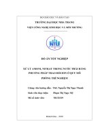 Xử lý amoni, nitrat trong nước thải bằng phương pháp trao đổi ion ở quy mô phòng thí nghiệm  