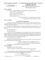 Đề thi học sinh giỏi môn Ngữ văn lớp 9 cấp huyện năm 2020-2021 có đáp án - Phòng GD&ĐT Tam Dương
