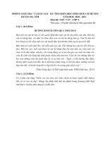 Đề thi học sinh giỏi môn Ngữ văn lớp 9 cấp huyện năm 2020-2021 - Phòng GD&ĐT Đạ Tẻh