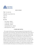 Đồ án cuối kỳ về ô nhiễm môi trường