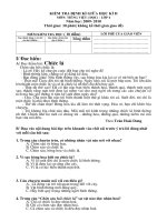 De thi GK II lop 4 mon Tieng Viet hay