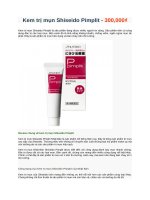 Kem trị mụn shiseido pimplit   300,000₫