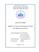 Nghiên cứu sử dụng enzyme rohapect trong quy trình sản xuất tiêu sọ  