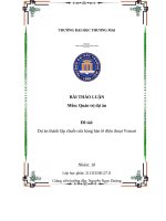 (Thảo luận quản trị dự án) dự án thành lập chuỗi cửa hàng bán lẻ điện thoại vsmart 