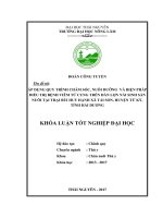 Áp dụng quy trình chăm sóc nuôi dưỡng và biện pháp điều trị bệnh viêm tử cung trên đàn lợn nái sinh sản tại trại bùi huy hạnh xã tái sơn huyện tứ kỳ tỉnh hải dương 