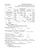 De thi HKI Toan 8 co DA