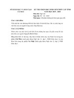 Đề thi học sinh giỏi môn Ngữ văn lớp 9 cấp tỉnh năm 2019-2020 - Sở GD&ĐT Cà Mau