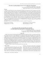 Đa dạng nguồn tài nguyên cây thuốc ở Vườn Quốc gia Phú Quốc, tỉnh Kiên Giang