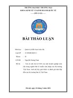 Giả sử anh chị là CEO của một doanh nghiệp toàn cầu trong ngành bán lẻ muốn xâm nhập vào thị trường việt nam  anh chị hãy giải thích và đánh giá tính hấp dẫn của thị trường bán lẻ việt nam 