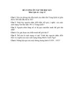 De cuong on tap Lich su 11