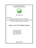 Áp dụng quy trình chăm sóc nuôi dưỡng và phòng trị bệnh cho đàn lợn thịt nuôi tại trang trại hoàng văn châu hạ long quảng ninh 