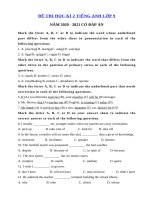 Đề thi học kì 2 lớp 9 môn tiếng Anh năm 2020 - 2021 số 3